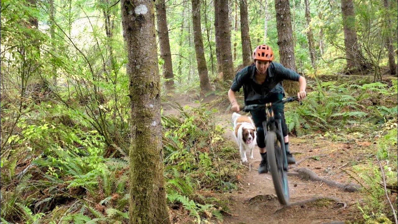 How To Mountain Bike | A Beginner's Guide To Getting Started