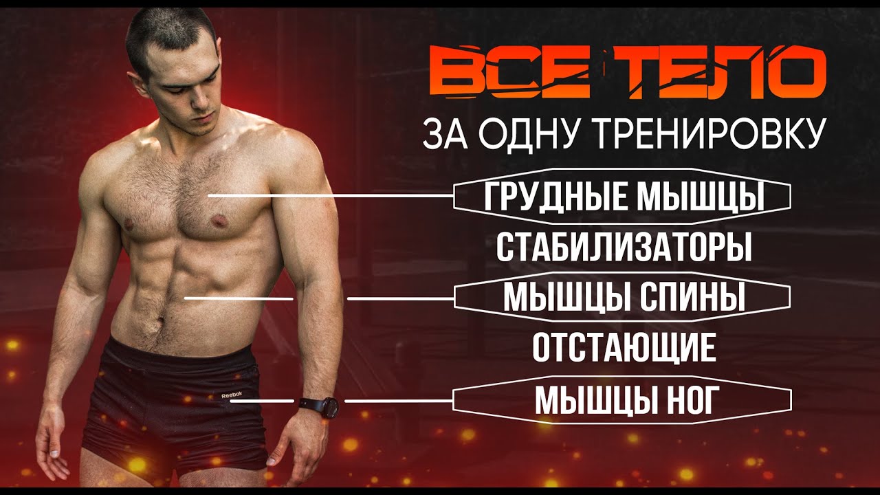 ФУЛБАДИ. Самый эффективный путь тренировки мышц всего тела.