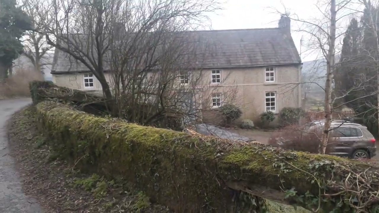 Walking in Carlow, Ireland. #ireland #walking #countryside