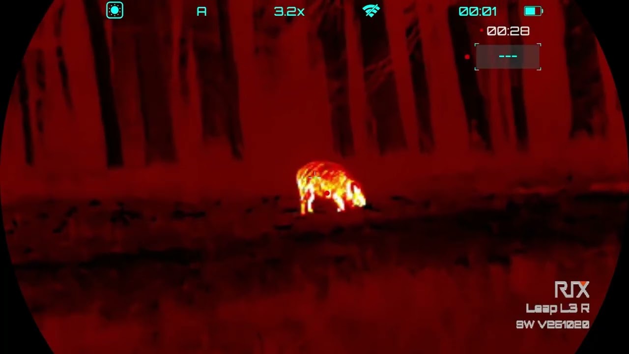 Polowanie na dziki z RIX LEAP L3R V2 / wildboar hunting #rixoptics #rixleap #taniepolowaniepl