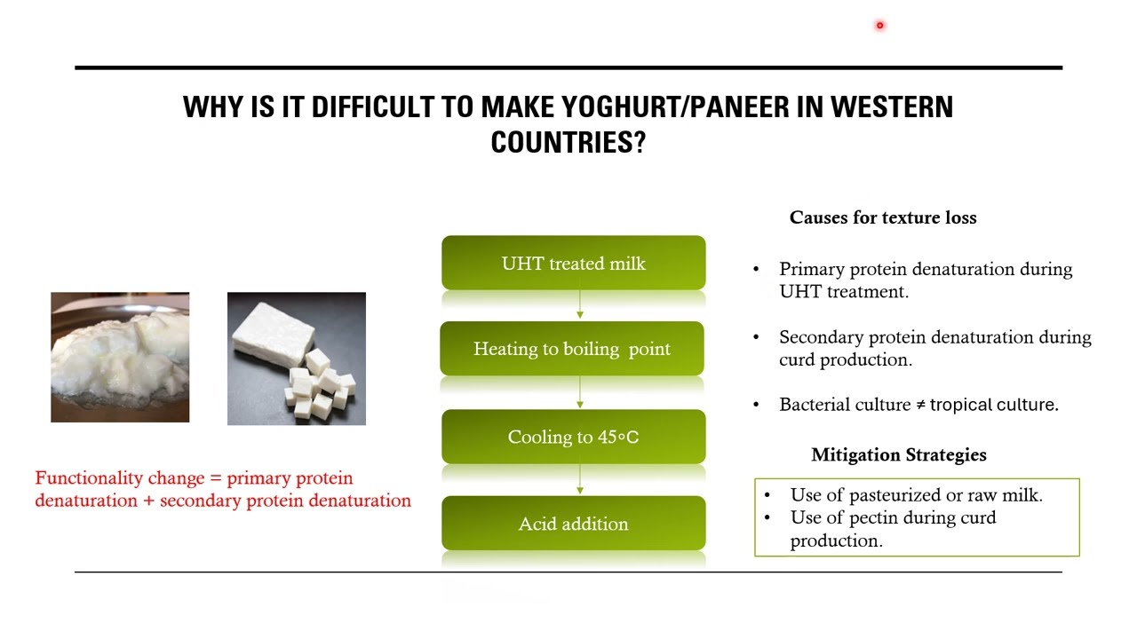 Protein Chemistry: Why is it difficult to make Paneer or curd in Western Countries?