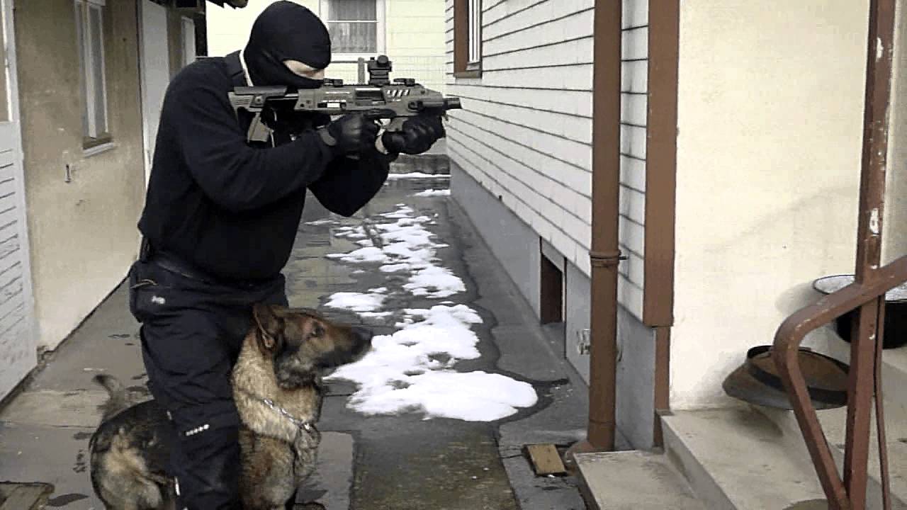 Tactical Obedience K9 movement - on-line watchdog