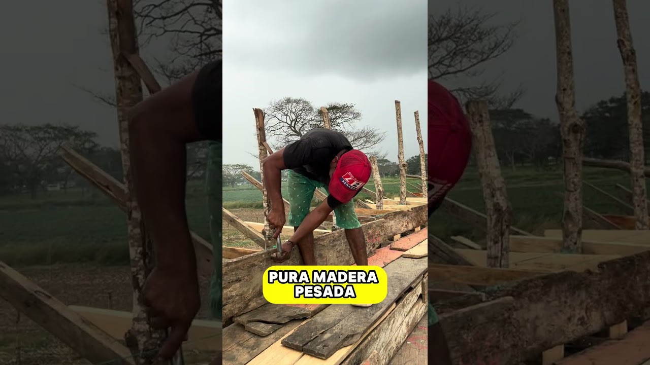 ¿En Cereté se hace la Corraleja más grande?😳🐴🐂