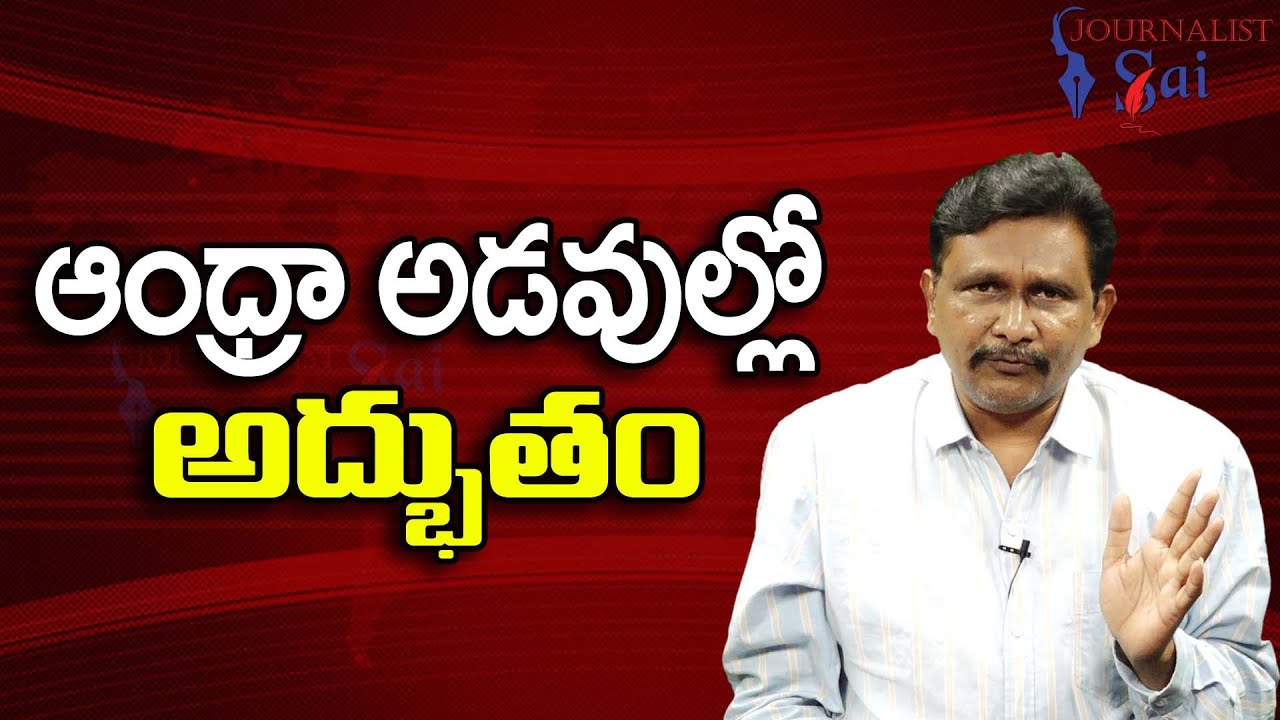 Historical Place Point || ఆంధ్రా అడవుల్లో అద్భుతం
