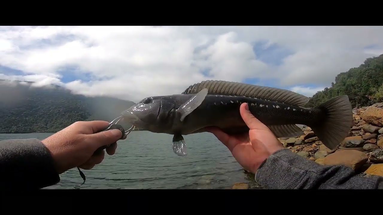 Pesca de roca Carretera Austral 