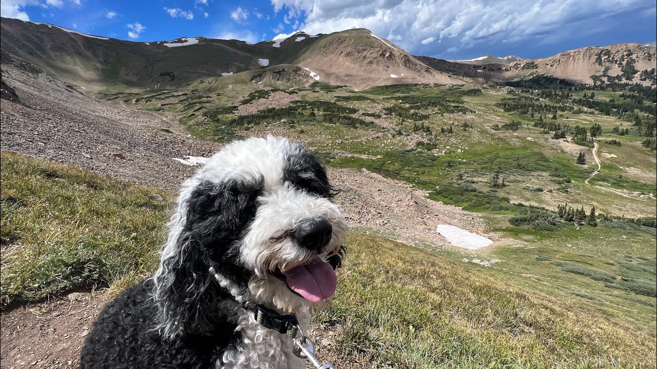 Butler Gulch Trail - Hike to Old Mine in Empire, Colorado - 4K