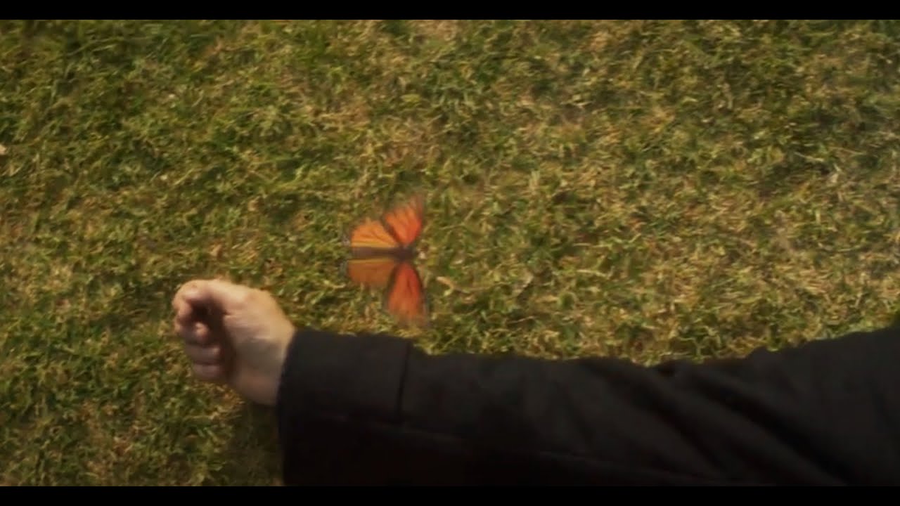 Live Action CG Butterfly featured in the 