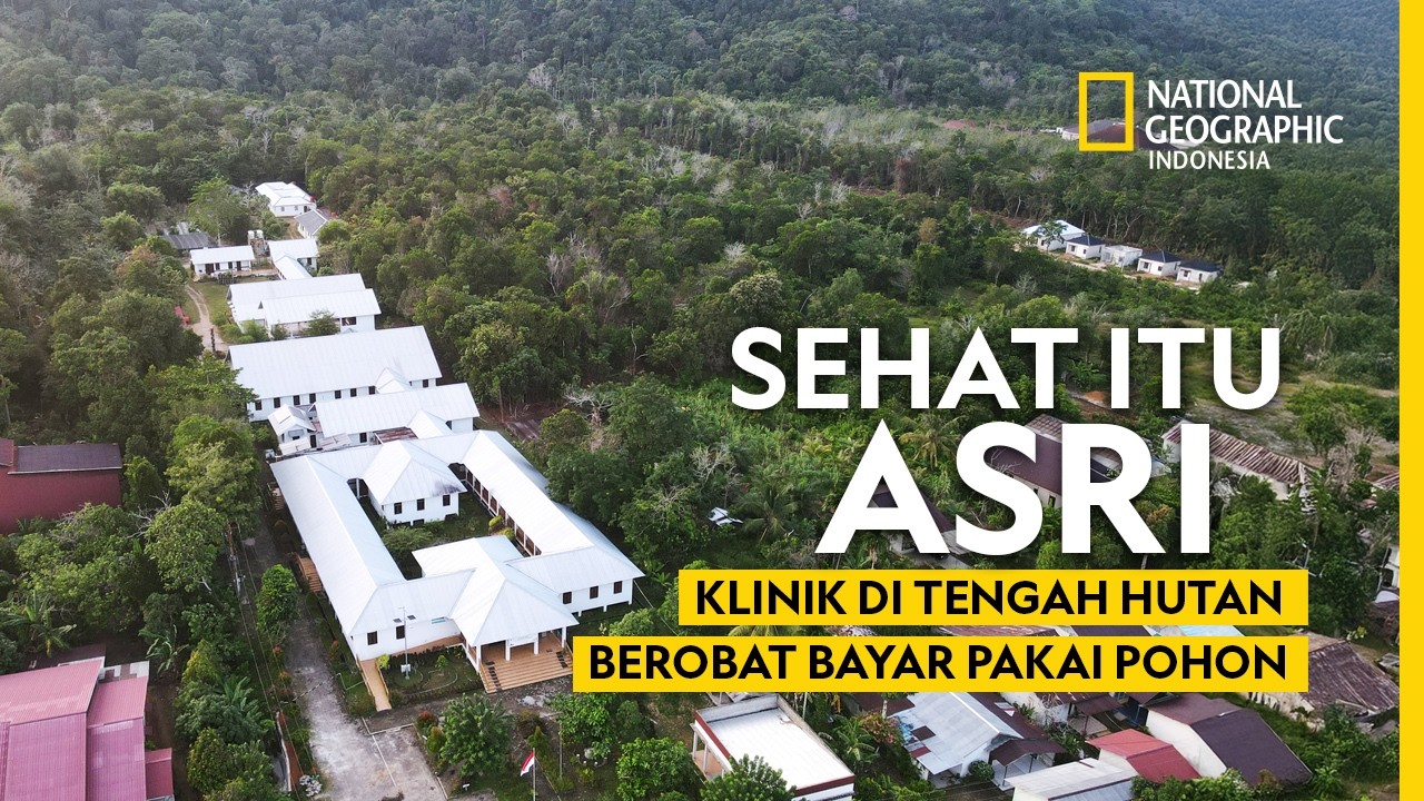 Menjaga Hutan Tropis Kalimantan - NATIONAL GEOGRAPHIC INDONESIA