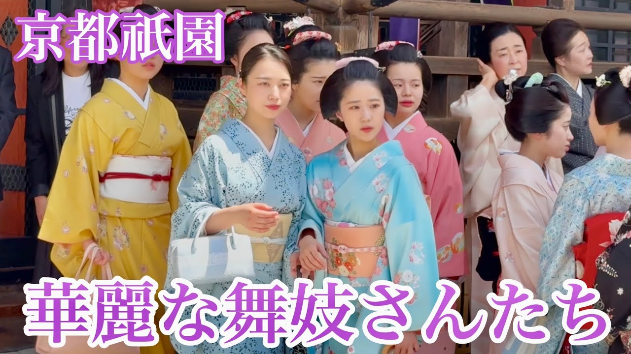 祇園甲部の舞妓さんたちが八坂神社に集結 Maiko in Gion, Kyoto 【4K】都をどり終了奉告祭/総集編