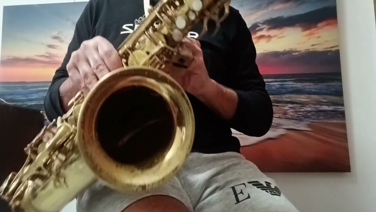 Tenorselmer3998XX