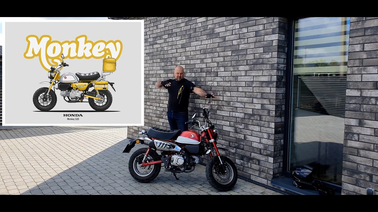 Honda Monkey 125 apžvalga (MOTO GURIS)