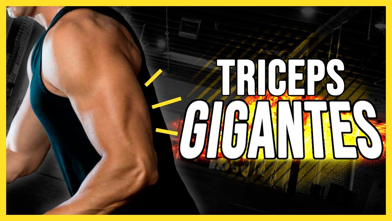 Evita estos ERRORES al hacer el PRESS de TRICEPS con BARRA ❌