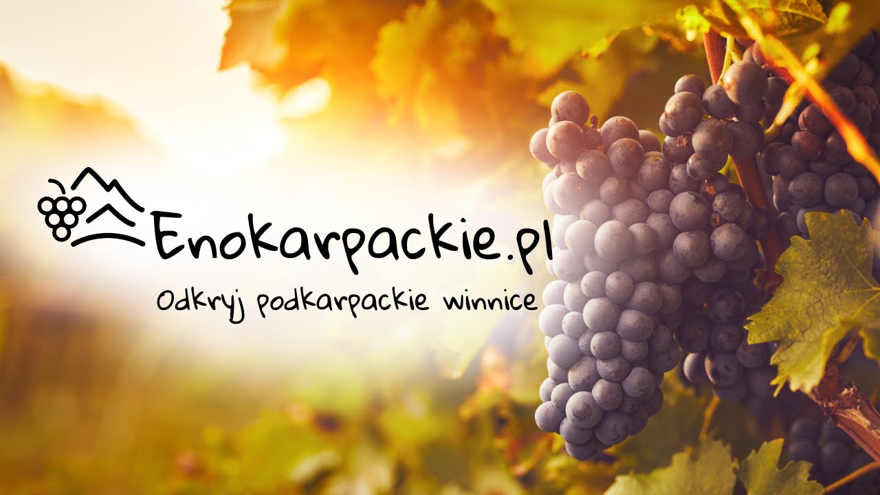 Tw&oacute;j plan na weekend: Winnice Podkarpacia w pigułce! 🍷 Zobacz szlak EnoKarpaty
