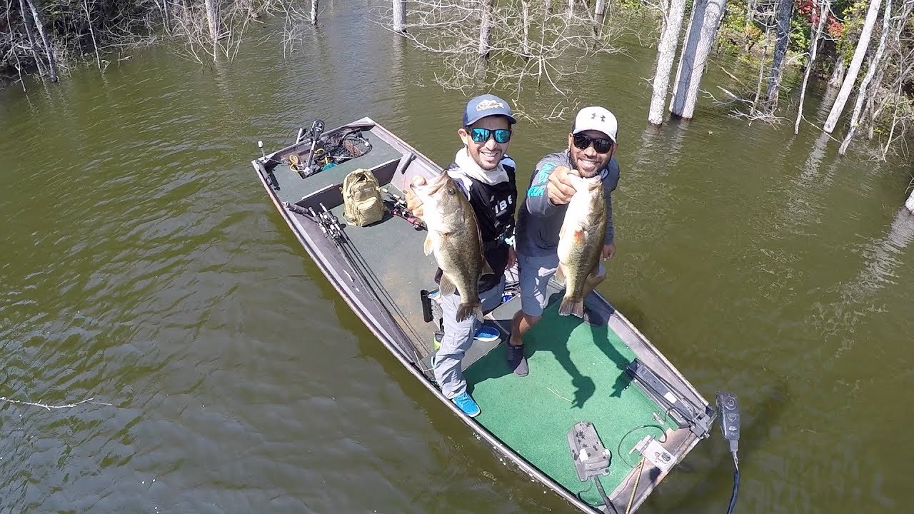 Tecnica de Pesca de Verano 2018(pesca en la jungla)