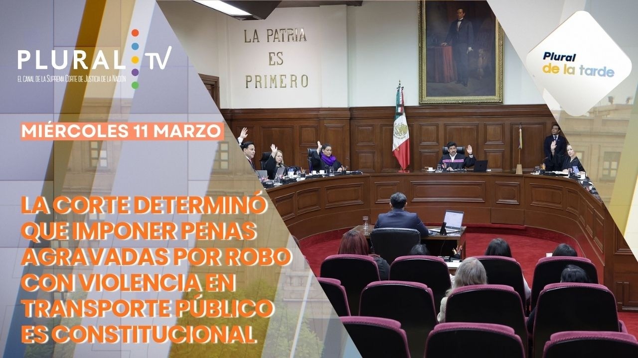 Imponer penas agraviadas por robo con violencia en transporte es constitucional | Plural de la Tarde