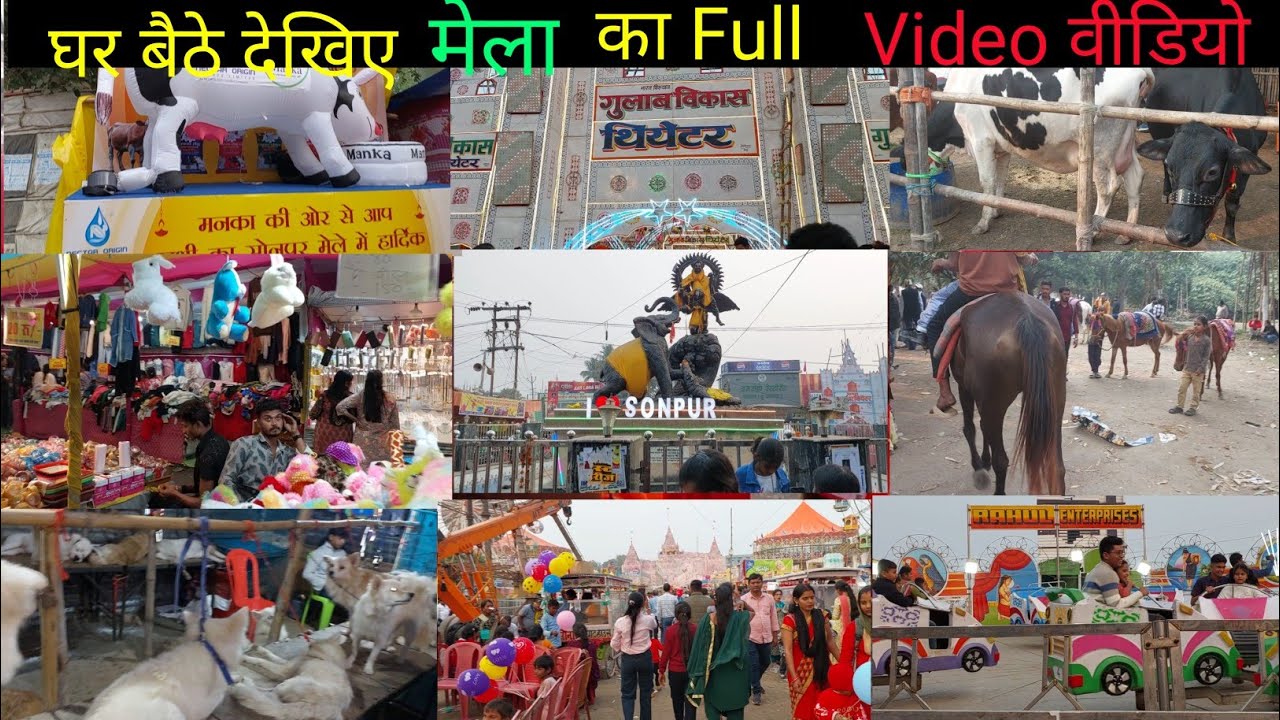 Sonpur Mela full video 2025 || पूरा घुमिया सोनपुर मेला || horse market || dog market||famous theatre