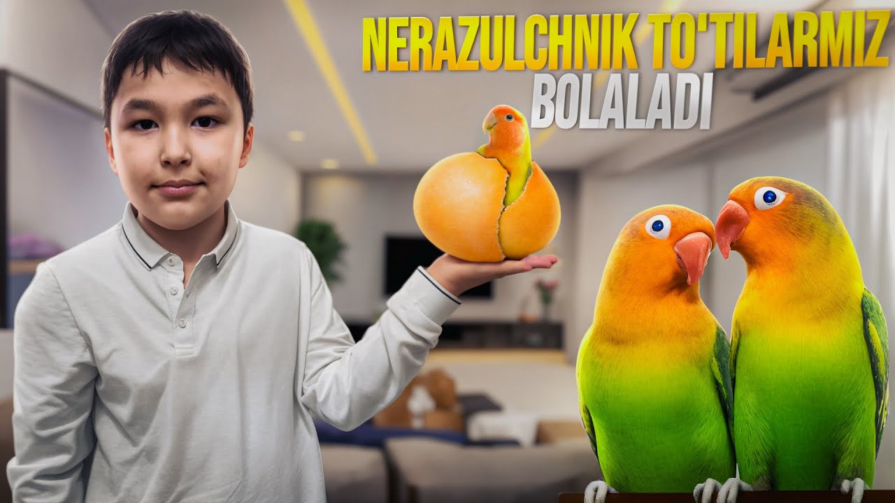Неразлучник (неразлучный) тутиларимиз болалади.