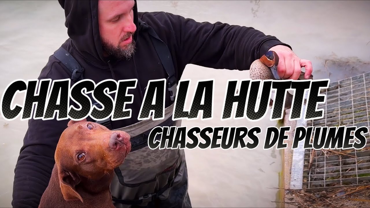 CHASSE à la HUTTE | VLOG | Convivialité et Plaisir | SAUVAGINIERS | Benelli SuperBlack Eagle 3