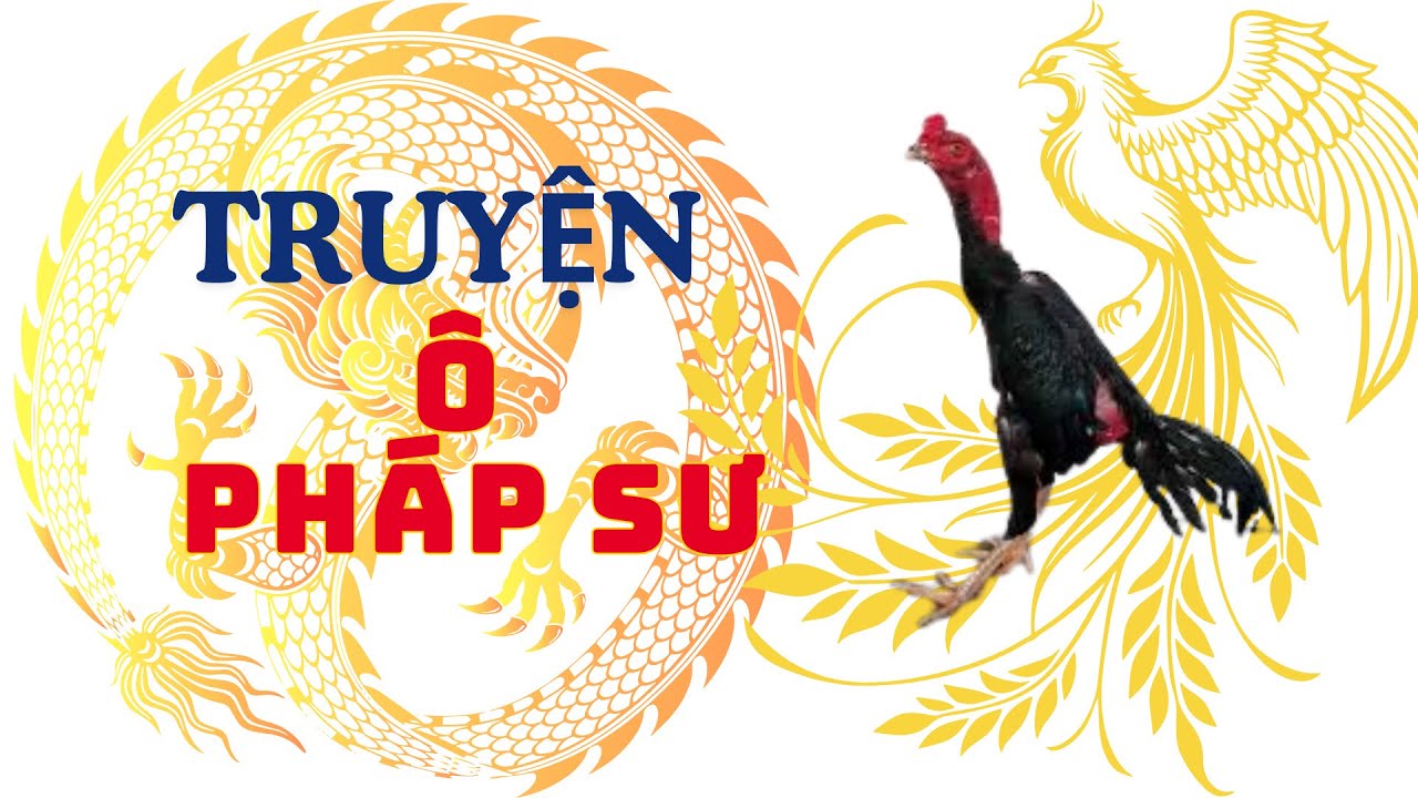 Ô Pháp Sư – Chiến Kê Ma Mị Khiến Cả Làng Gà Việt Khiếp Sợ