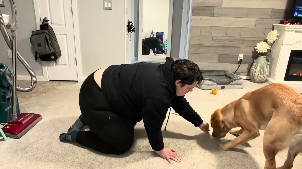 1/8/2026 Handler Scent Discrimination 