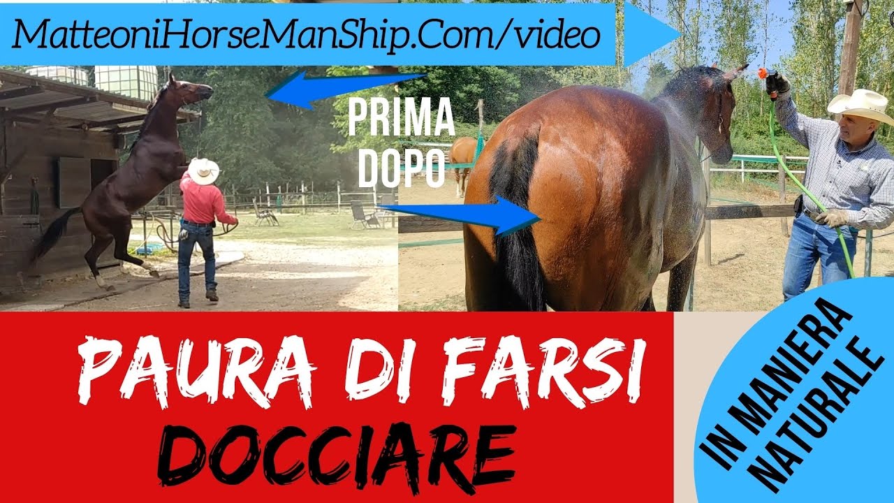 Cavallo che ha paura di farsi docciare