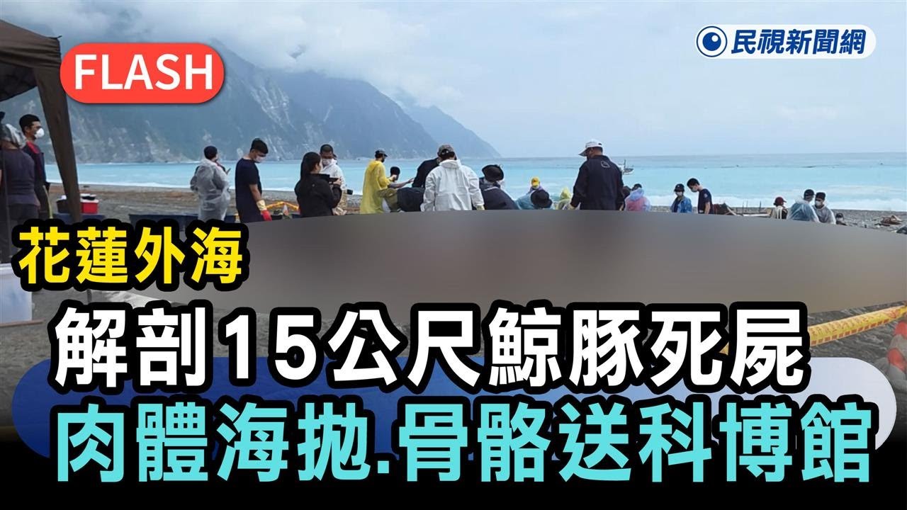 快新聞／花蓮外海解剖「15公尺」鯨豚死屍　肉體海拋、骨骼送科博館－民視新聞