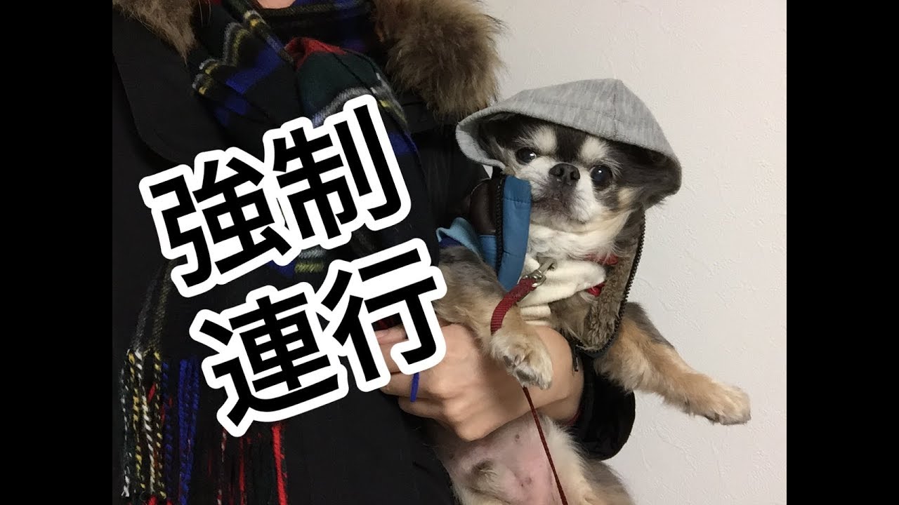 ラズおじさん120 スネおじさん連行～