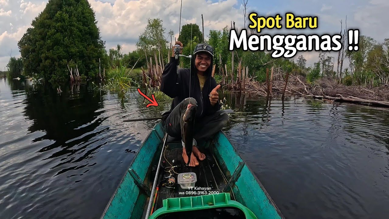 GANASS !! PETUALANGAN 1 HARI DI SPOT BARU YANG DIHUNI BANYAK IKAN PREDATOR