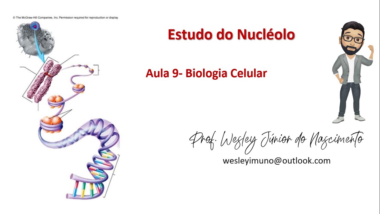 Biologia Celular -Ensino Superior -Aula 09: O Nucl&eacute;olo