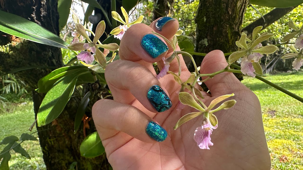 Silver Jellyfish and Kraken on @mooncatofficial ‘s The Sea Between Us. But it’s not too much. 🤣
