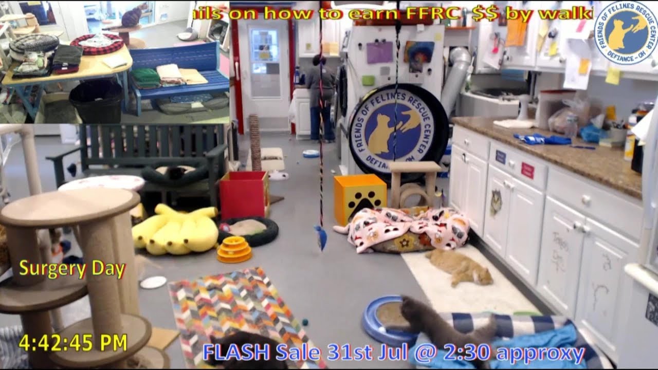 FFRC: Alma With CH Turbo Scratcher