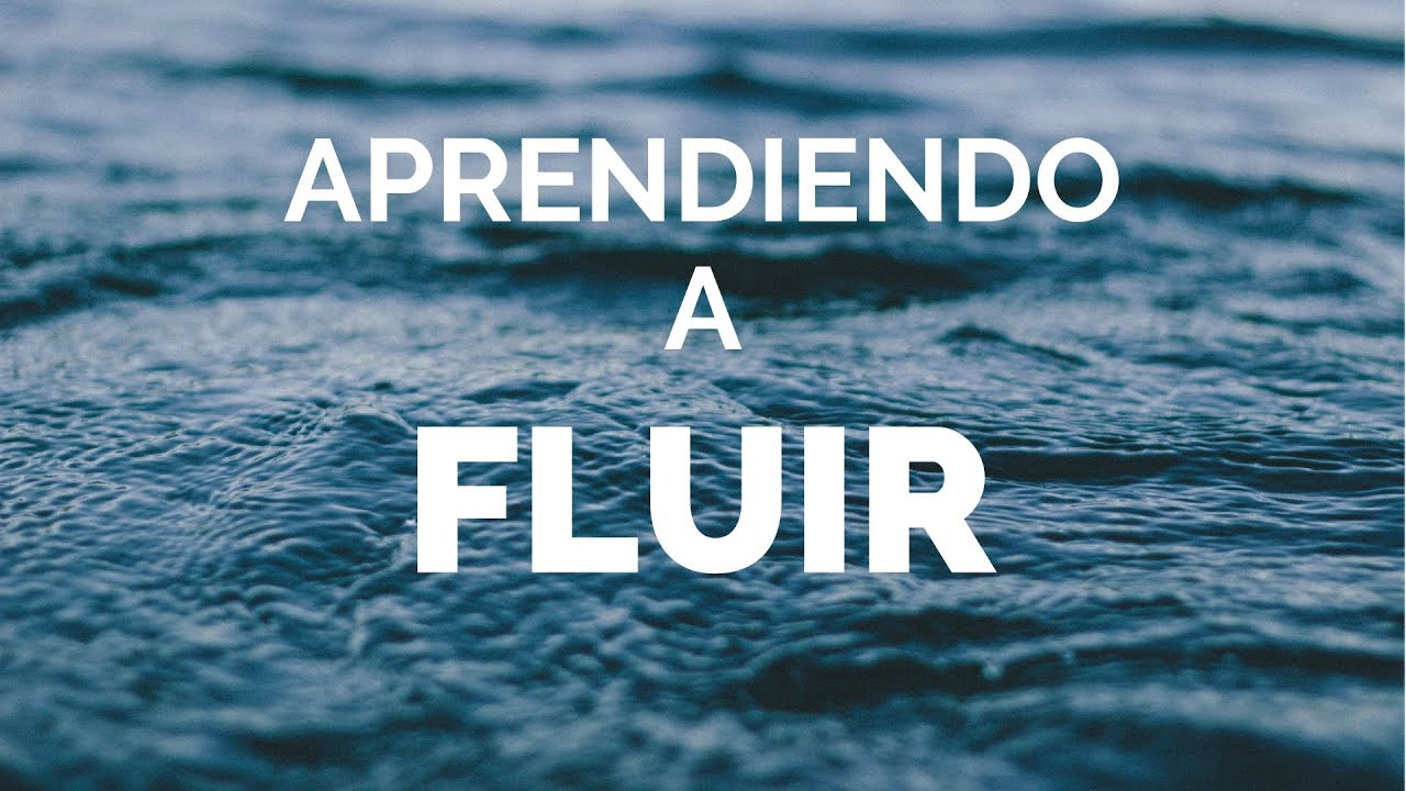 ¿Que son los estados de flujo?