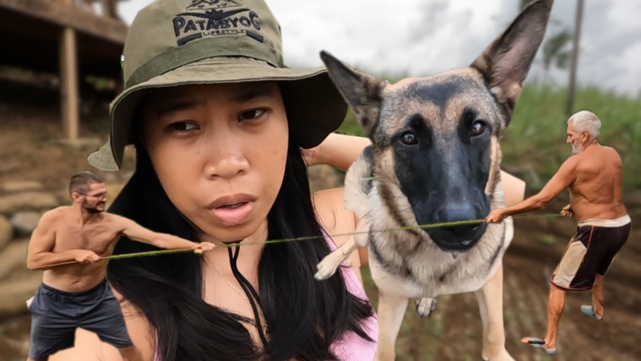 After the Typhoon | Industrious foreigners working in the farm | Province life with foreigners