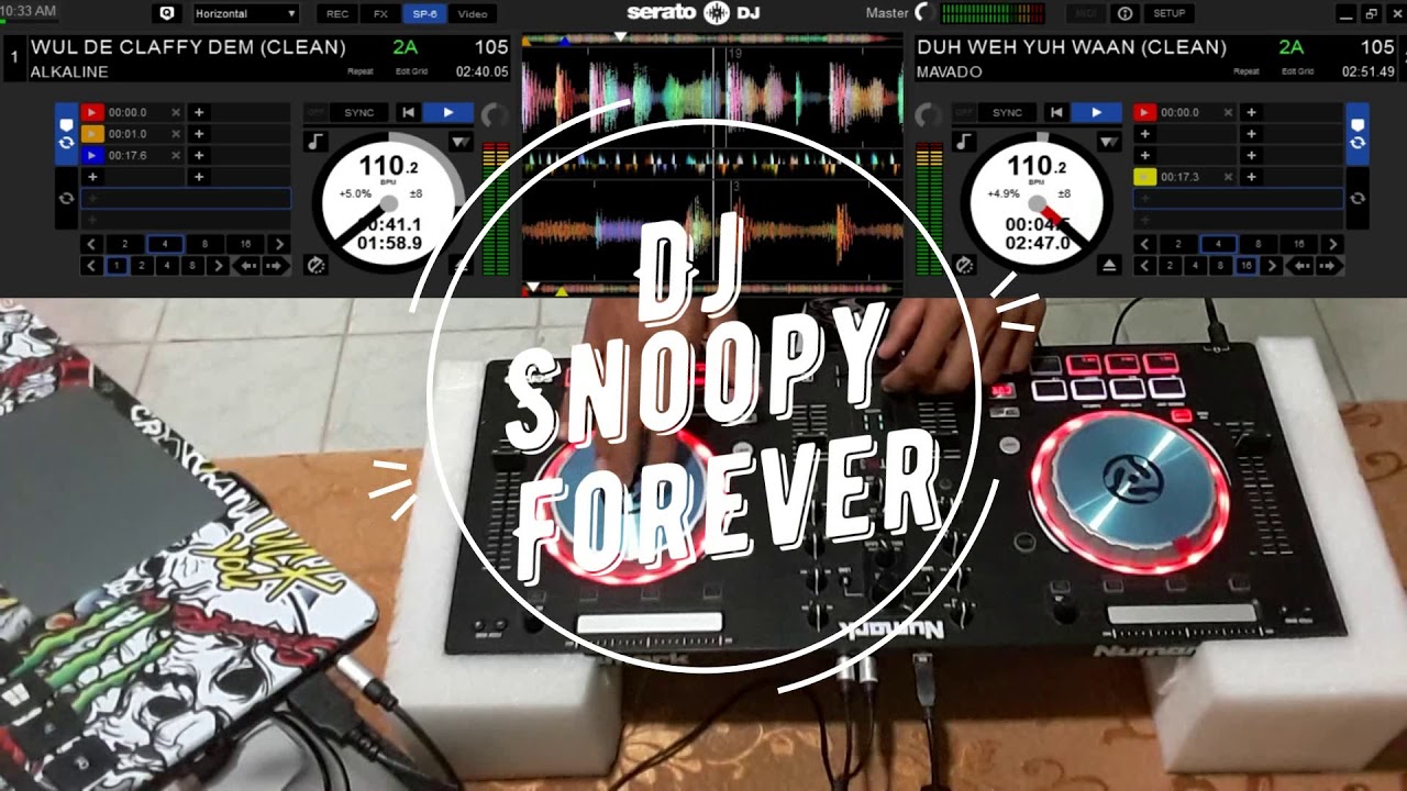 Dj Snoopy Ft Wul Dem & Wul Dem Again Riddim (CLEAN MIXTAPE)