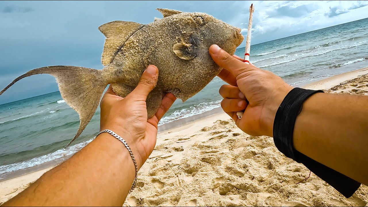 5ème Journée Championnat Interne Club Triton - Tazarka - Surfcasting 2025