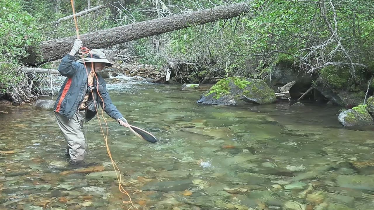 Fly Fishing Skalkaho and Daly Creeks in Montana