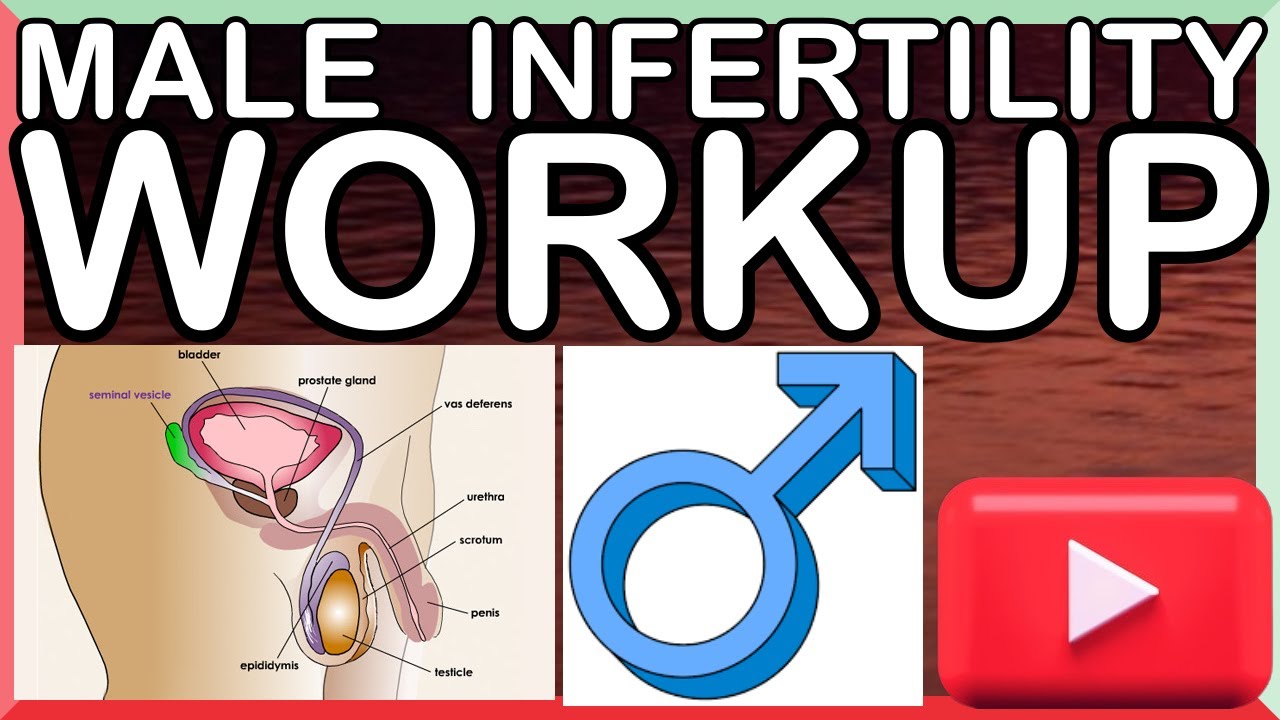 (VID-4) INFERTILITY WORKUP IN MALES ׀ SEMEN ANALYSIS INTERPRETATION ׀ MADE EASY - dr joos