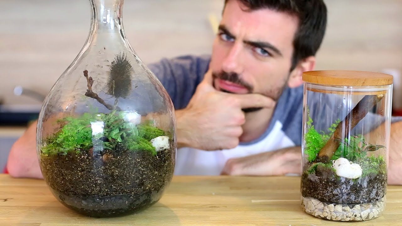 Et si on faisait un terrarium ? Jardin DIY fermé en bocal