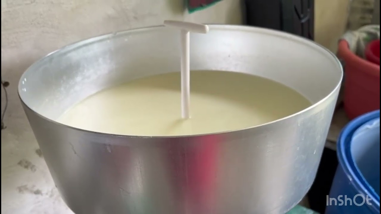 Así es el proceso de la leche y queso 💜