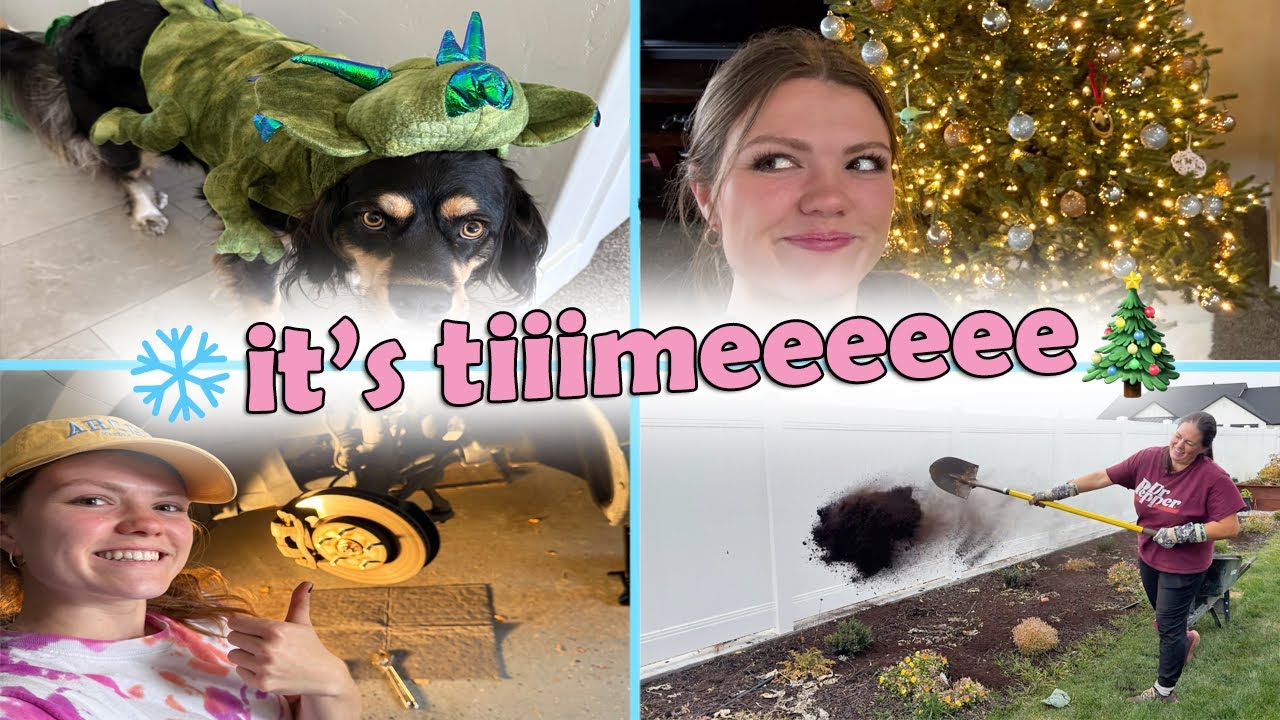 Decorating for Christmas, tucking the garden in, and fixing my car!