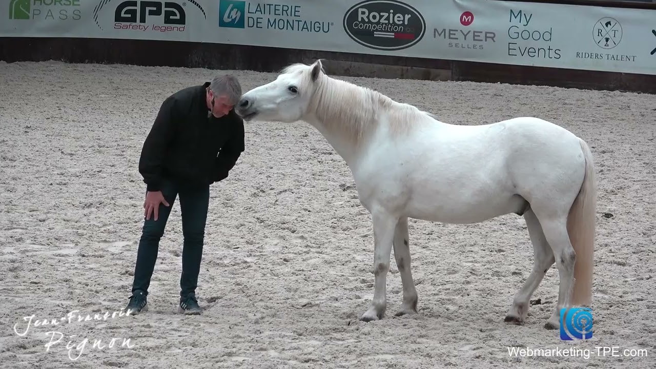 On ne peut pas saouler son cheval : Jean-François Pignon délivre ses secrets avec les chevaux