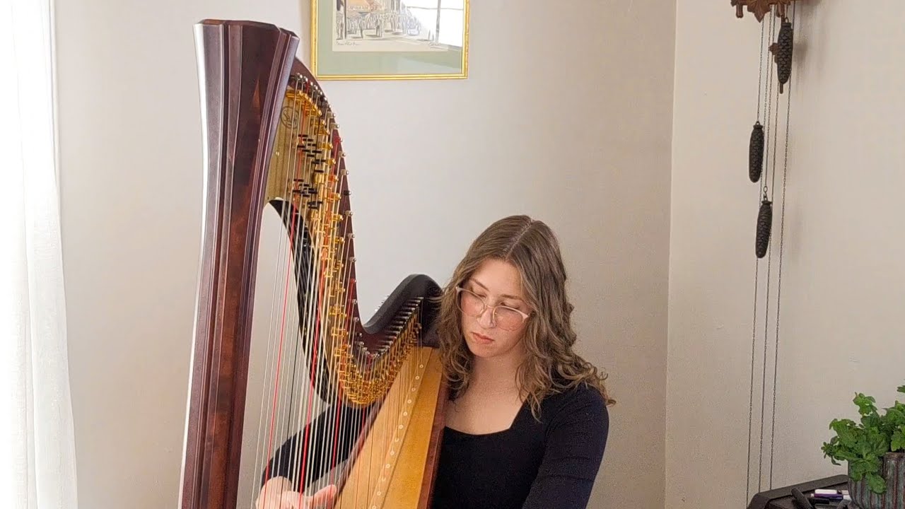 Pachelbel's Canon in D - played on the harp