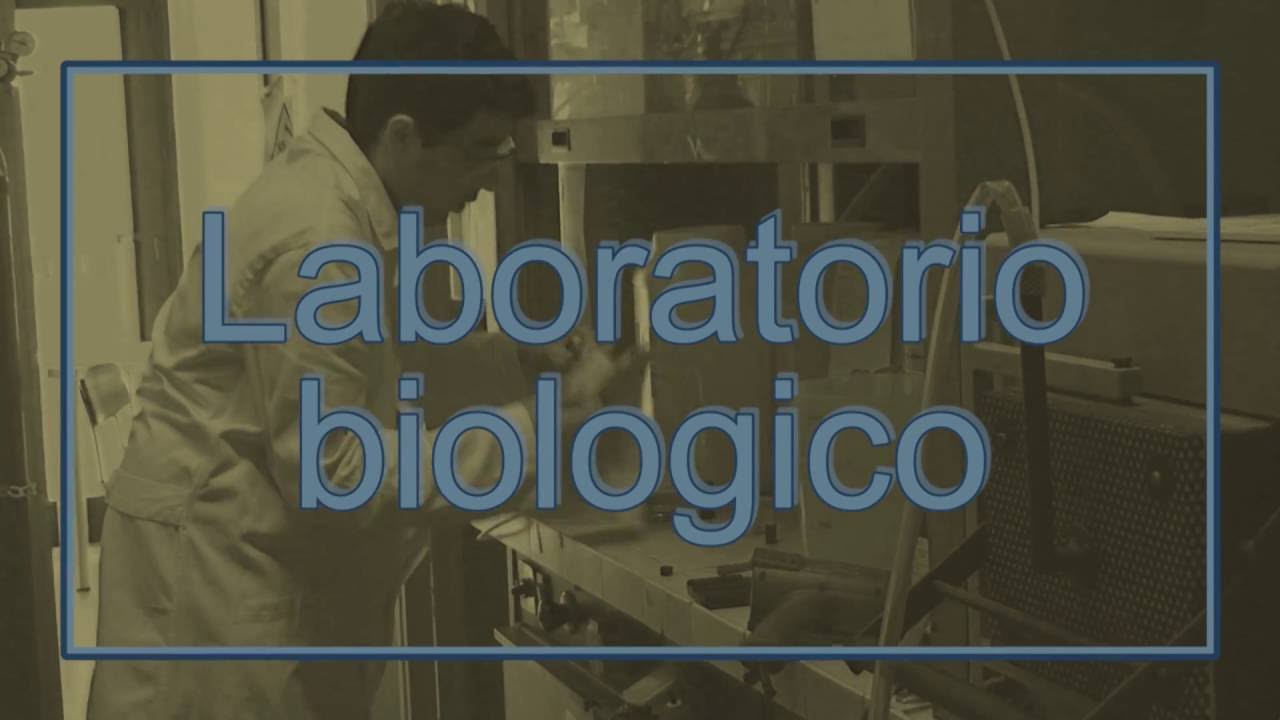 Modulo rischio biologico in laboratorio v. 1.4b