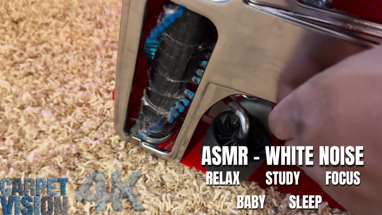 ASMR Carpet Cleaning | Twin 5-Year-Olds + Dog Sitting Business = Soiled Carpet 😮‍💨 (Sleep Now)