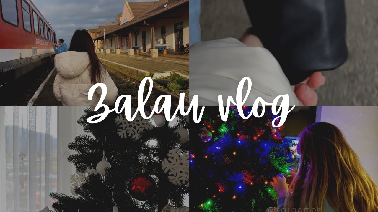 I took the train to Zalau and I surprised my cousin 🥹 I made my Christmas tree with her 🤍