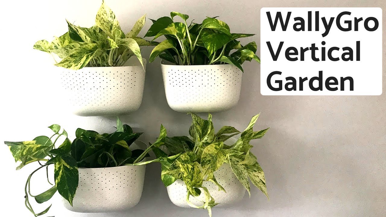 Building an Indoor Vertical Garden with WallyGro