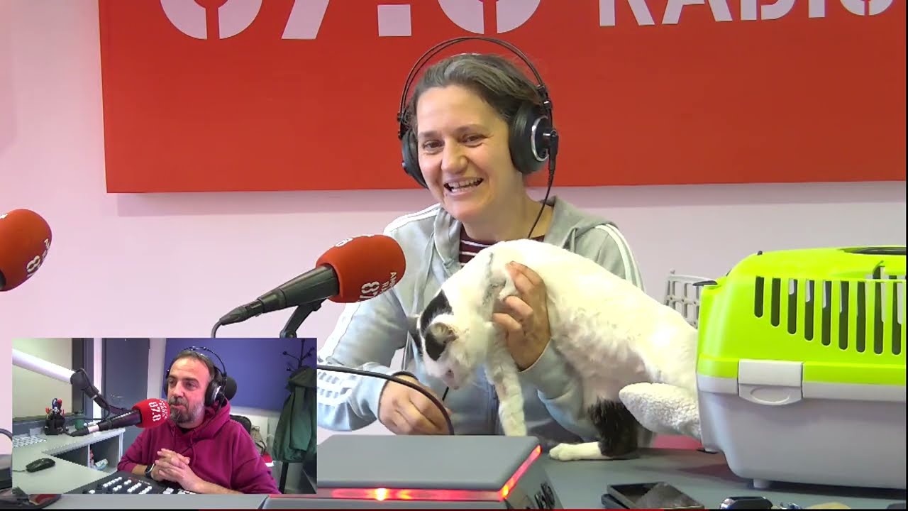 10 anys d'Engrescades: Instal·lacions danyades i despeses veterinàries rècord