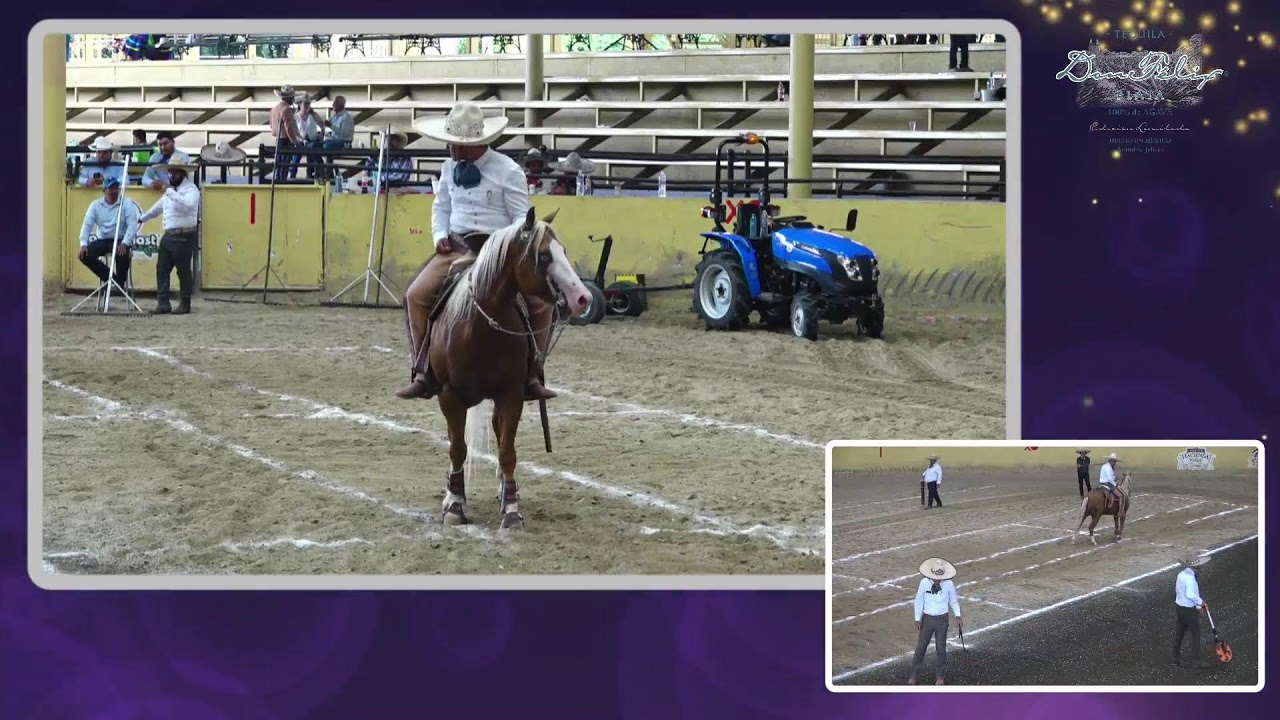 Caladero Prefuturity Millonario