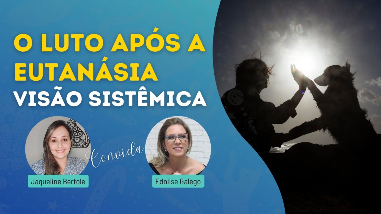 O Luto Após a Eutanásia Pela Visão Sistêmica | @jaquelinepiresbertole