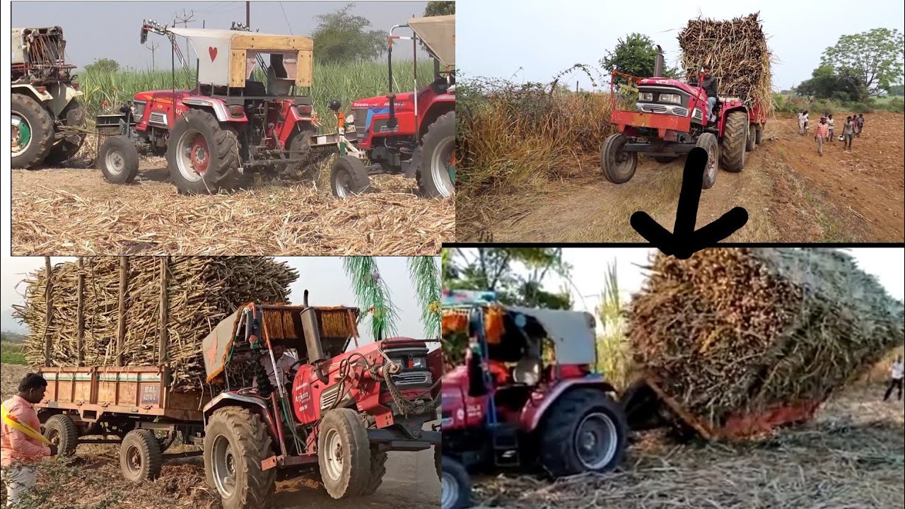 Arjun mahidra Novo stuck in mud #Arjun mahidra 605 #Heavy sugarcane loaded tractor
